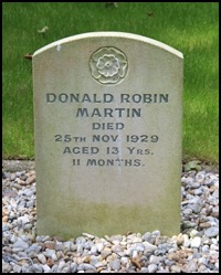 9 Donald Martin Robin